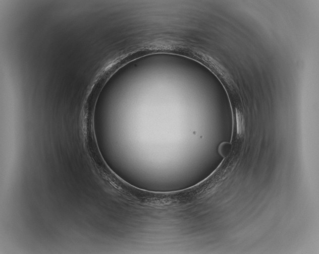 X0000112420675200908141411