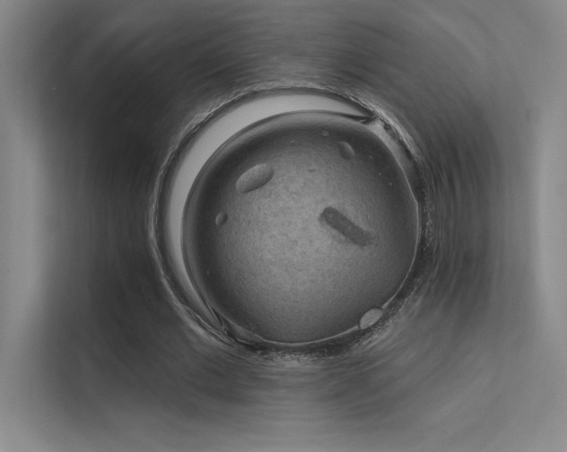 X0000112420677200908141411
