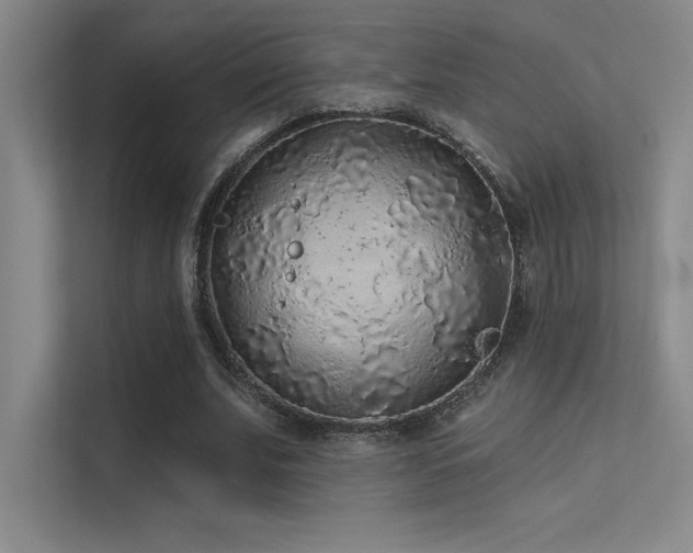 X0000112420679200908141411