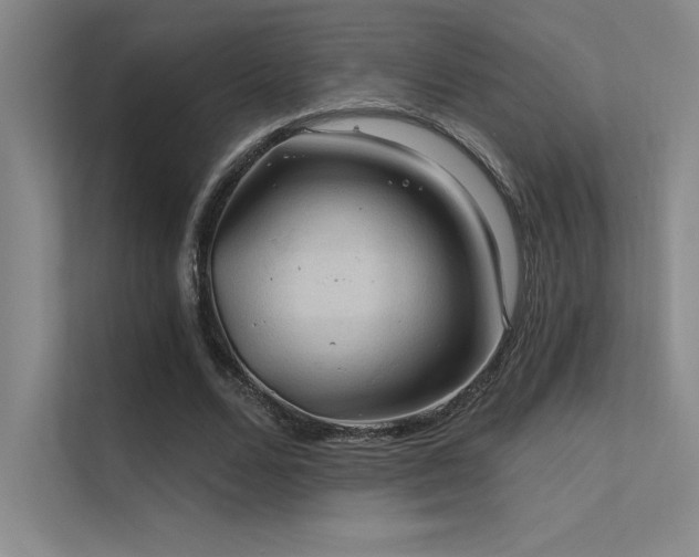 X0000112420680200908141411