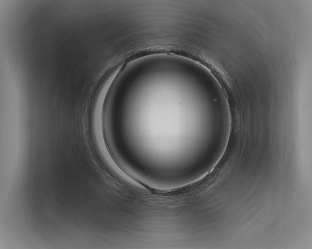 X0000112420681200908141411