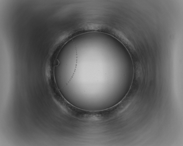 X0000112420683200908141411
