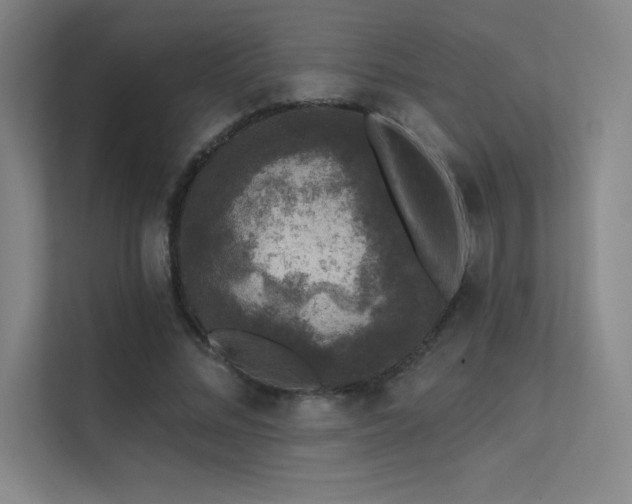 X0000112420684200908141411