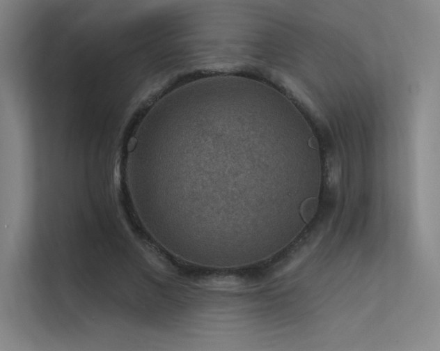 X0000112420685200908141411