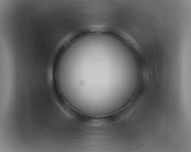 X0000112420686200908141411