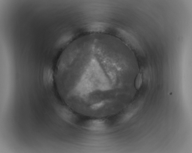 X0000112420692200908141411