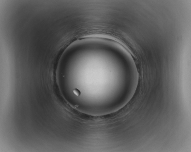 X0000112420696200908141411