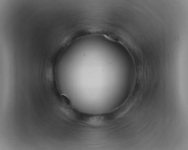 X0000112420700200908141411