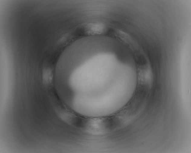 X0000112420701200908141411