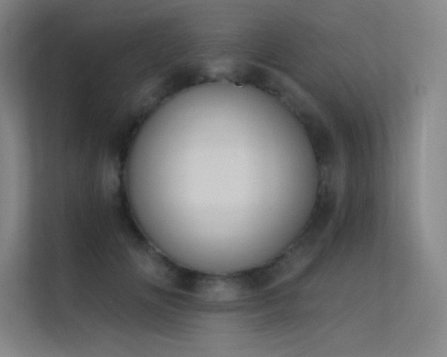 X0000112420702200908141411