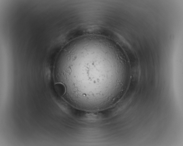 X0000112420703200908141411