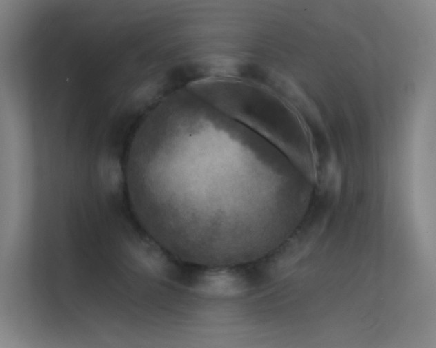 X0000112420704200908141411