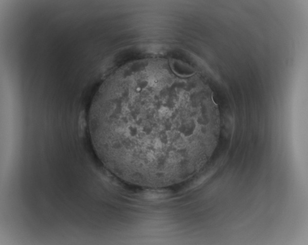X0000112420707200908141411