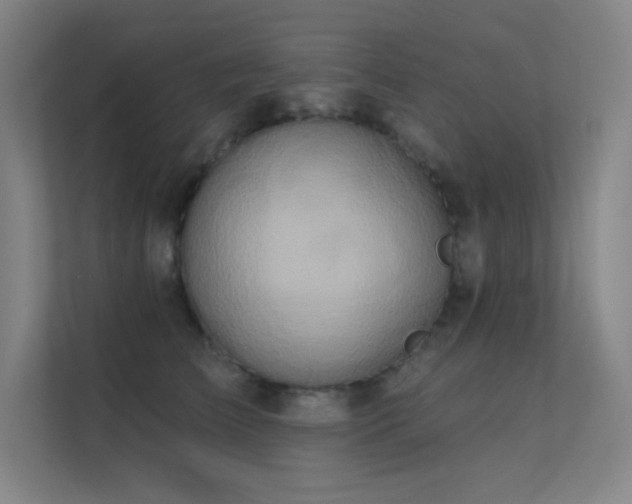 X0000112420709200908141411