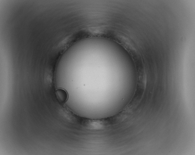 X0000112420710200908141411