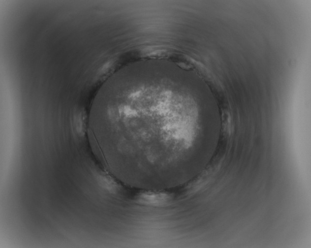 X0000112420712200908141411