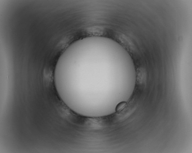 X0000112420713200908141411
