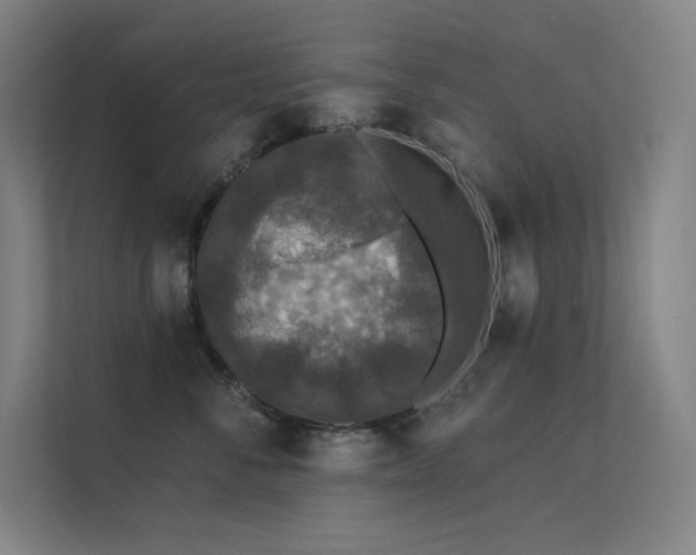 X0000112420716200908141411