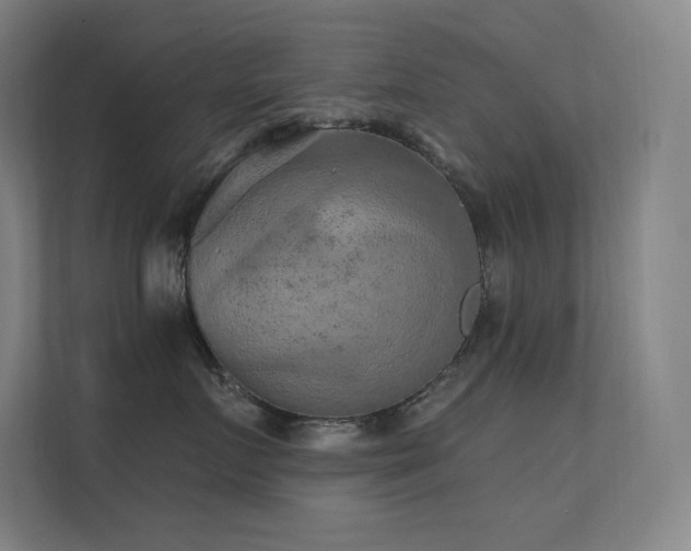 X0000112420719200908141411