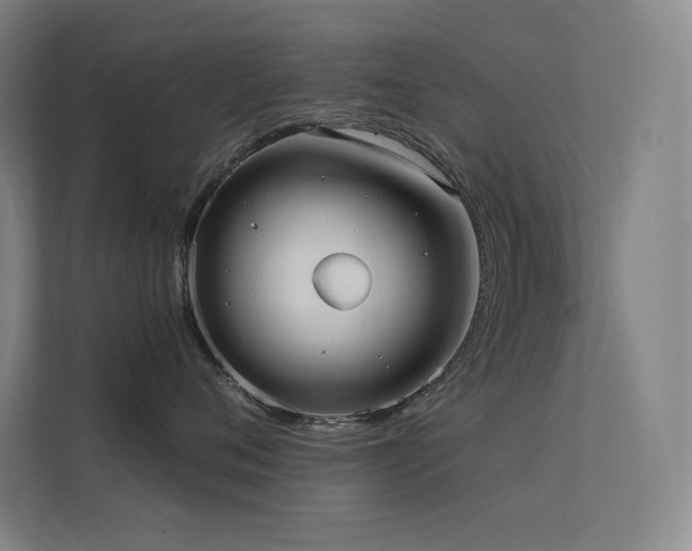 X0000112420720200908141411