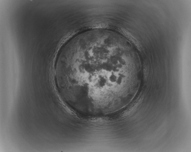 X0000112420721200908141410