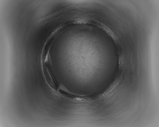 X0000112420722200908141410