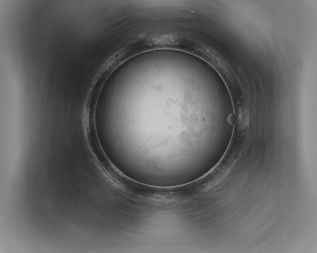 X0000112420725200908141410