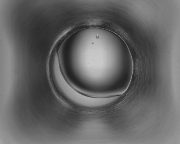 X0000112420726200908141410