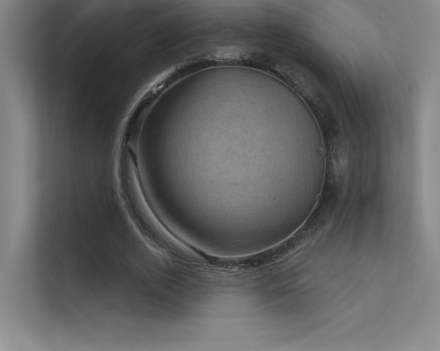 X0000112420728200908141410