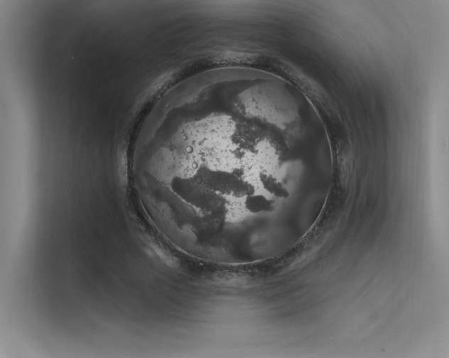 X0000112420729200908141410