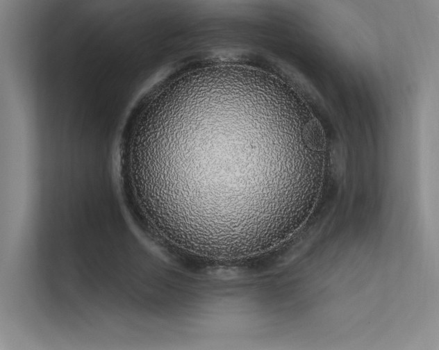 X0000112420730200908141410