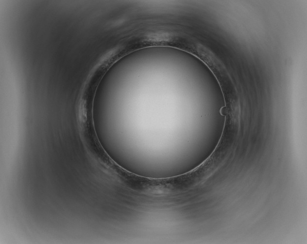 X0000112420731200908141410