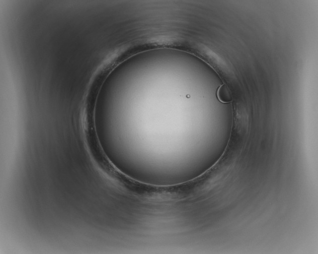 X0000112420734200908141410