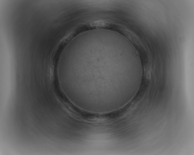 X0000112420735200908141410