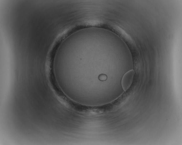 X0000112420736200908141410