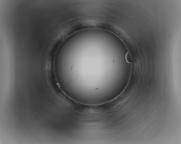 X0000112420739200908141410