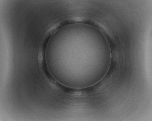 X0000112420740200908141410