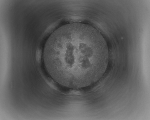 X0000112420742200908141410