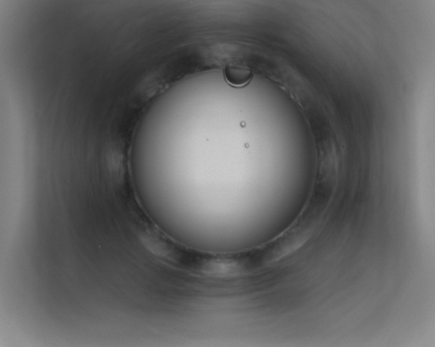 X0000112420749200908141410