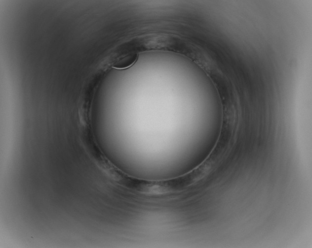 X0000112420755200908141411