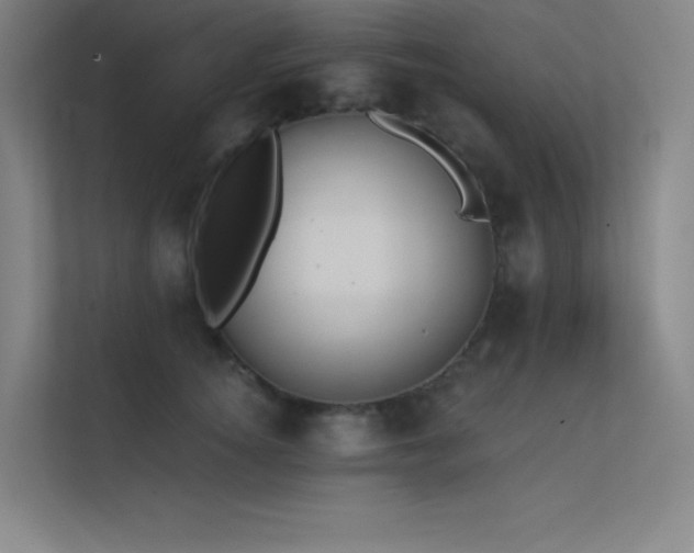 X0000112420756200908141411