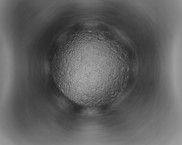 X0000112420758200908141411