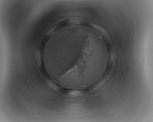X0000112420759200908141411