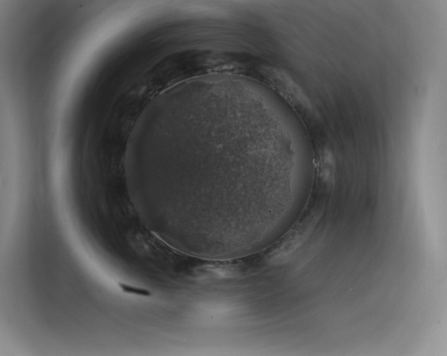 X0000112420763200908141411