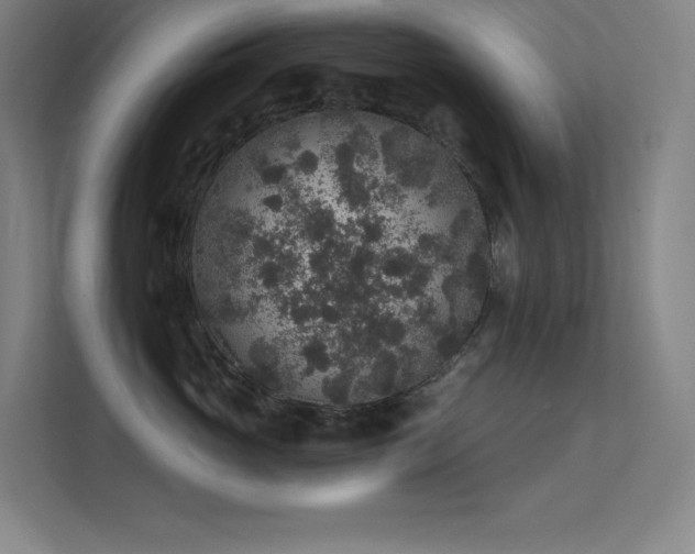 X0000112420765200908141411