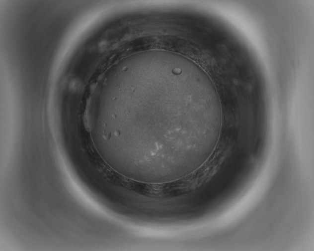 X0000112420766200908141411