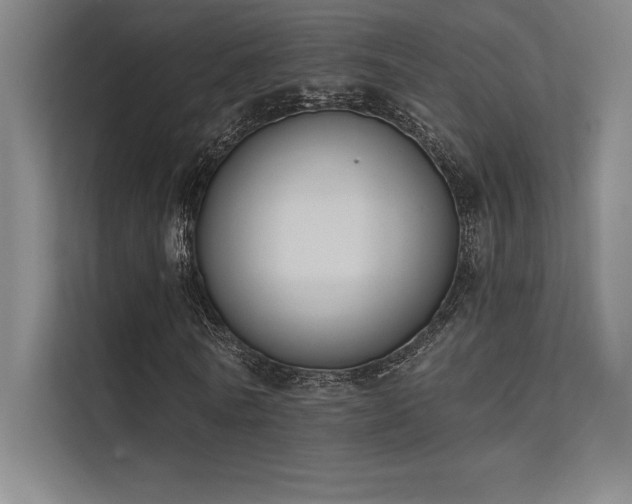 X0000112420770200908141410