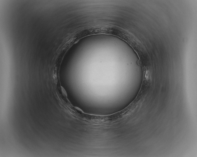X0000112420771200908141410