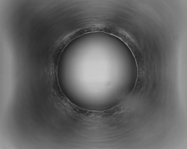 X0000112420773200908141410