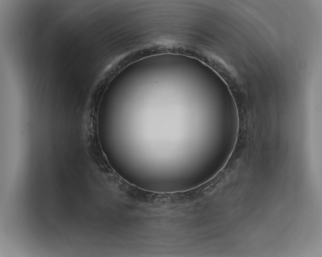 X0000112420776200908141410